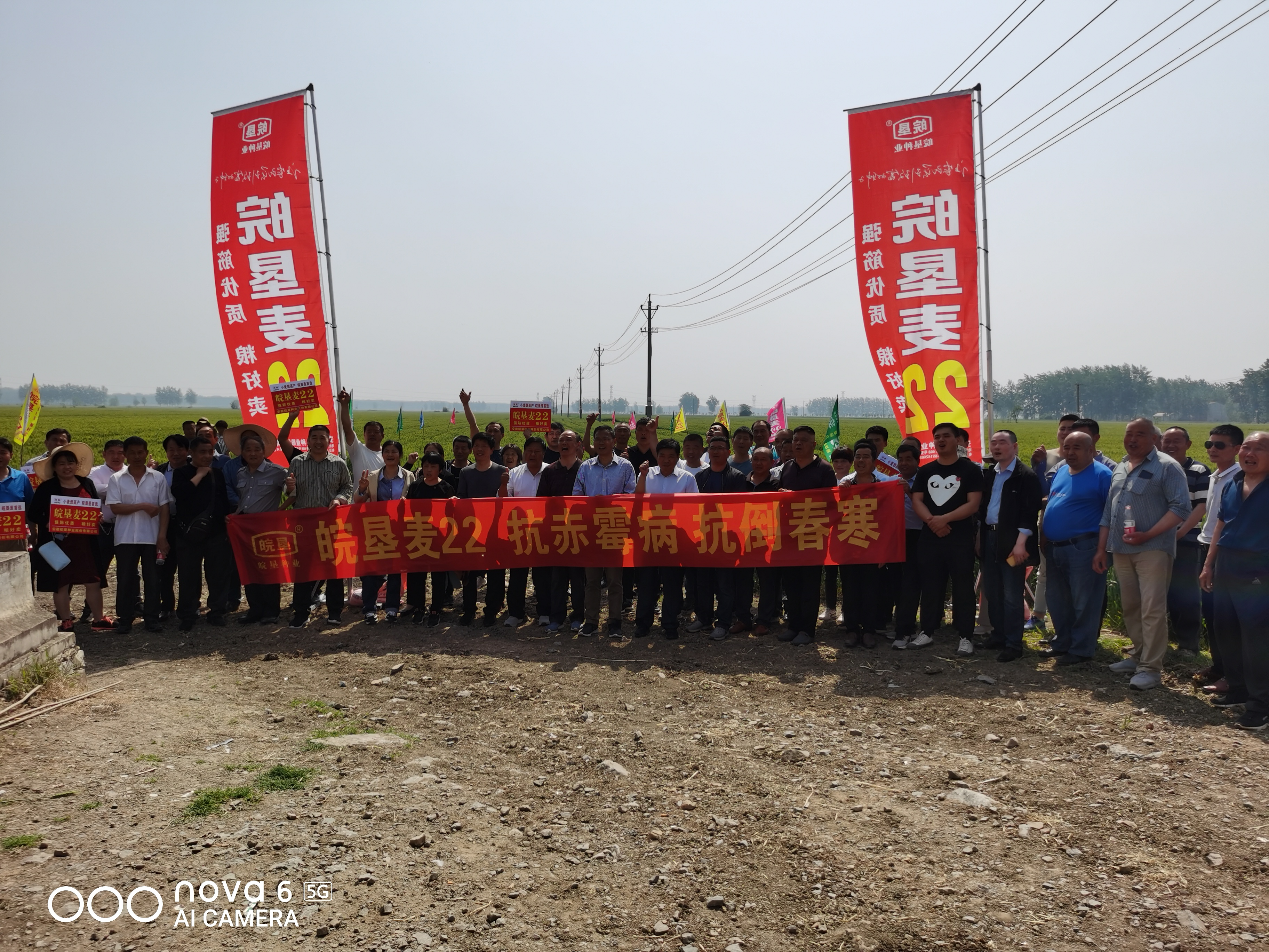 ?以品種促宣傳，以品質(zhì)促發(fā)展 皖墾種業(yè)召開(kāi)淮麥44、皖墾麥22品種觀摩交流會(huì)